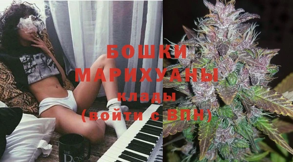 ПСИЛОЦИБИНОВЫЕ ГРИБЫ Аркадак