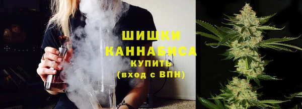 ПСИЛОЦИБИНОВЫЕ ГРИБЫ Аркадак