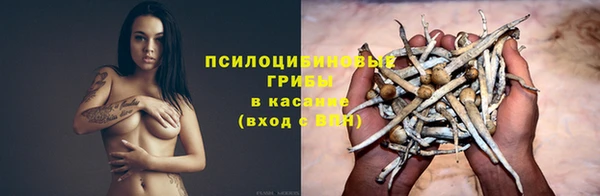 дживик Арсеньев