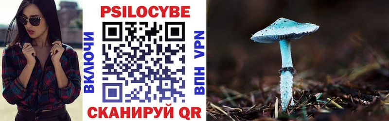 Галлюциногенные грибы MAGIC MUSHROOMS Струнино